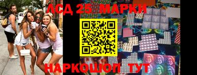 шишки Новозыбков
