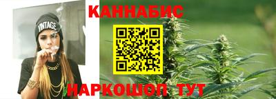 дмт Будённовск
