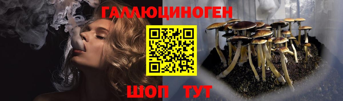 Галлюциногенные грибы Magic Shrooms  цены   Удомля  Вход с VPN  Галлюциногенные грибы Psilocybine cubensis 